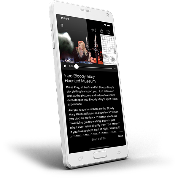 Book - talking Book, APP Format