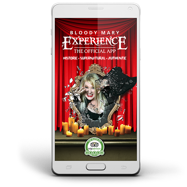 Book - talking Book, APP Format