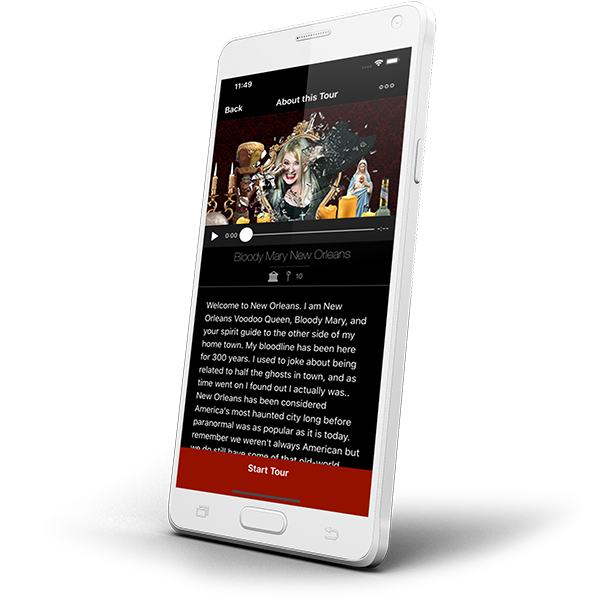 Book - talking Book, APP Format