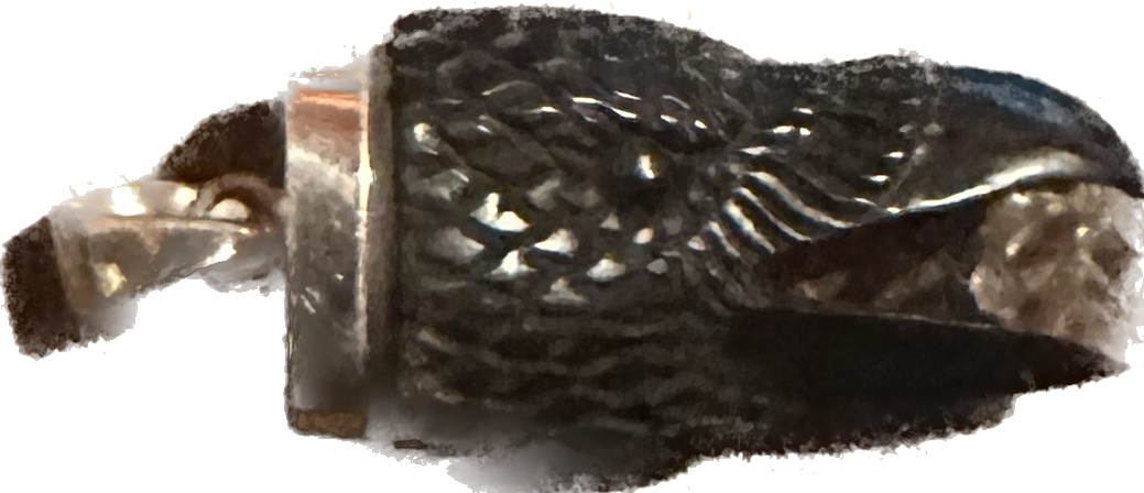Hand carved jet crow with crystal